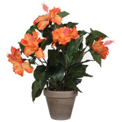 plante artificielle - hibiscus orange - mica